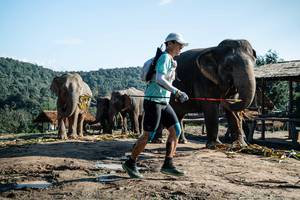 BIB: 
                            <button type="button" onclick="openModal(22423627)" class="btn btn-primary btn-sm float-right btn-popup" data-toggle="modal" data-target=".modal-high-quality">
                        <i class="fas fa-shopping-cart"></i> Add to Cart
                    </button>
                                            <button type="button" onclick="isThisMe(22423627, true)" class="btn btn-success btn-sm float-right btn-popup btn-isme hidden" data-toggle="tooltip" data-placement="bottom" title="นี่คือรูปของคุณใช่ไหม คลิกที่นี่เพื่อเอาเข้าอัลบั้ม">
                        <i class="fas fa-plus"></i> Add to album
                    </button>
                    <button type="button" onclick="isThisMe(22423627, false)" class="btn btn-warning btn-sm float-right btn-popup btn-isnotme hidden">
                        <i class="fas fa-ban"></i> Remove from album
                    </button>